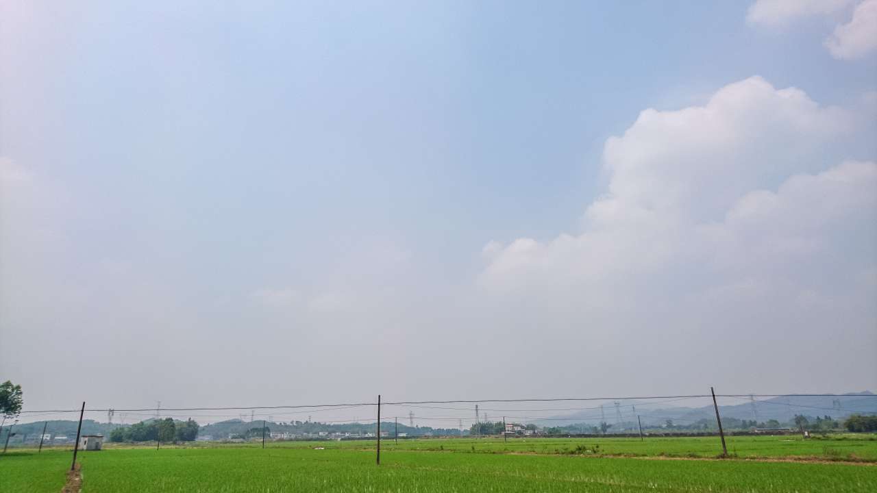 油菜花田下的自力村 旅游 自力村 开平 景点 碉楼 油菜田 油菜花