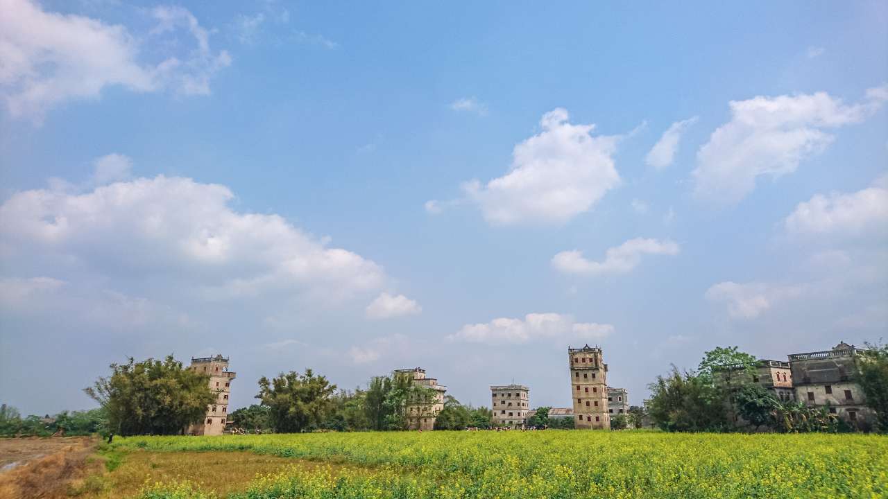 油菜花田下的自力村 旅游 自力村 开平 景点 碉楼 油菜田 油菜花
