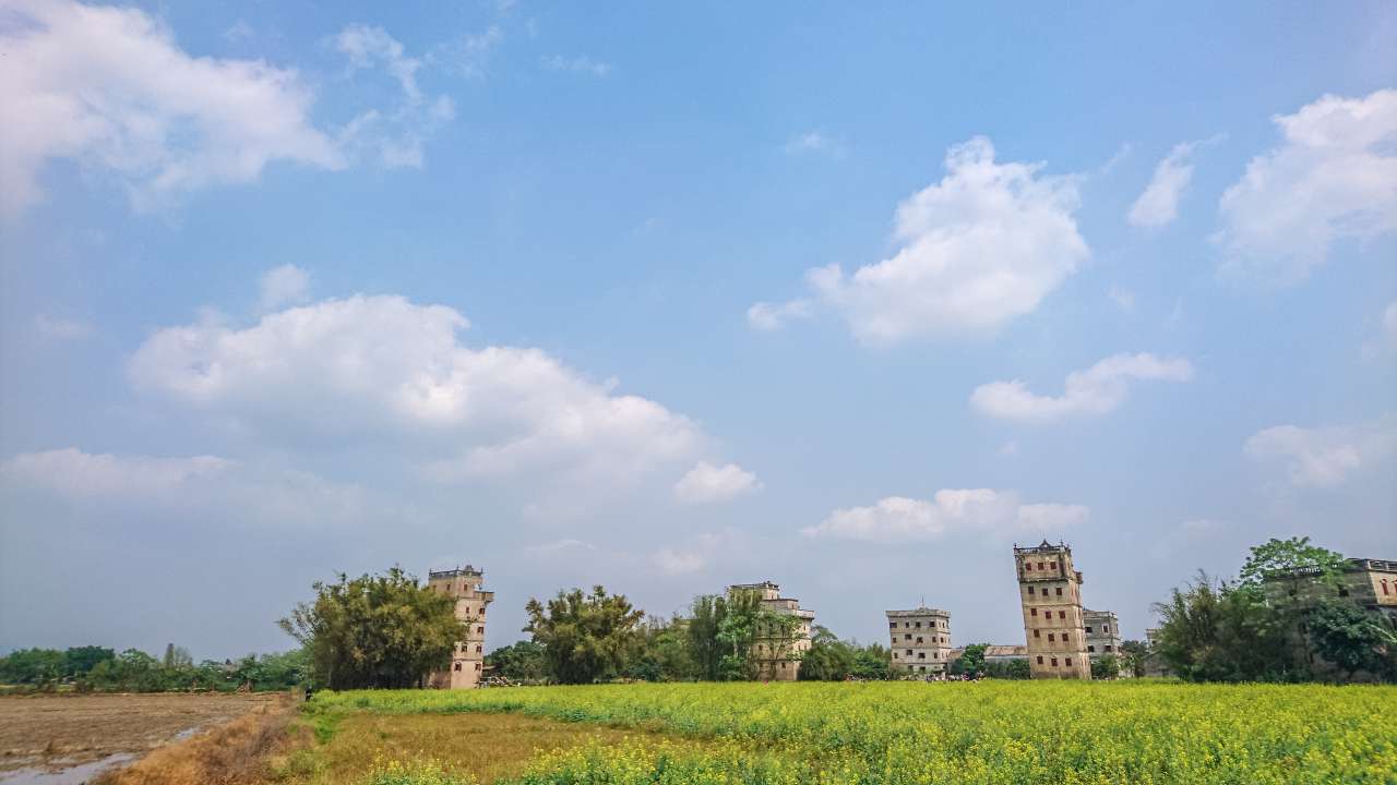 油菜花田下的自力村 旅游 自力村 开平 景点 碉楼 油菜田 油菜花