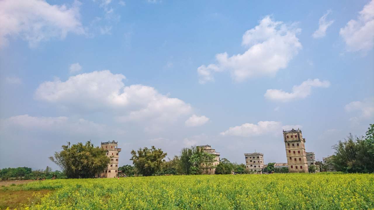 油菜花田下的自力村 旅游 自力村 开平 景点 碉楼 油菜田 油菜花