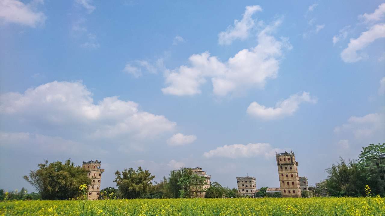 油菜花田下的自力村 旅游 自力村 开平 景点 碉楼 油菜田 油菜花