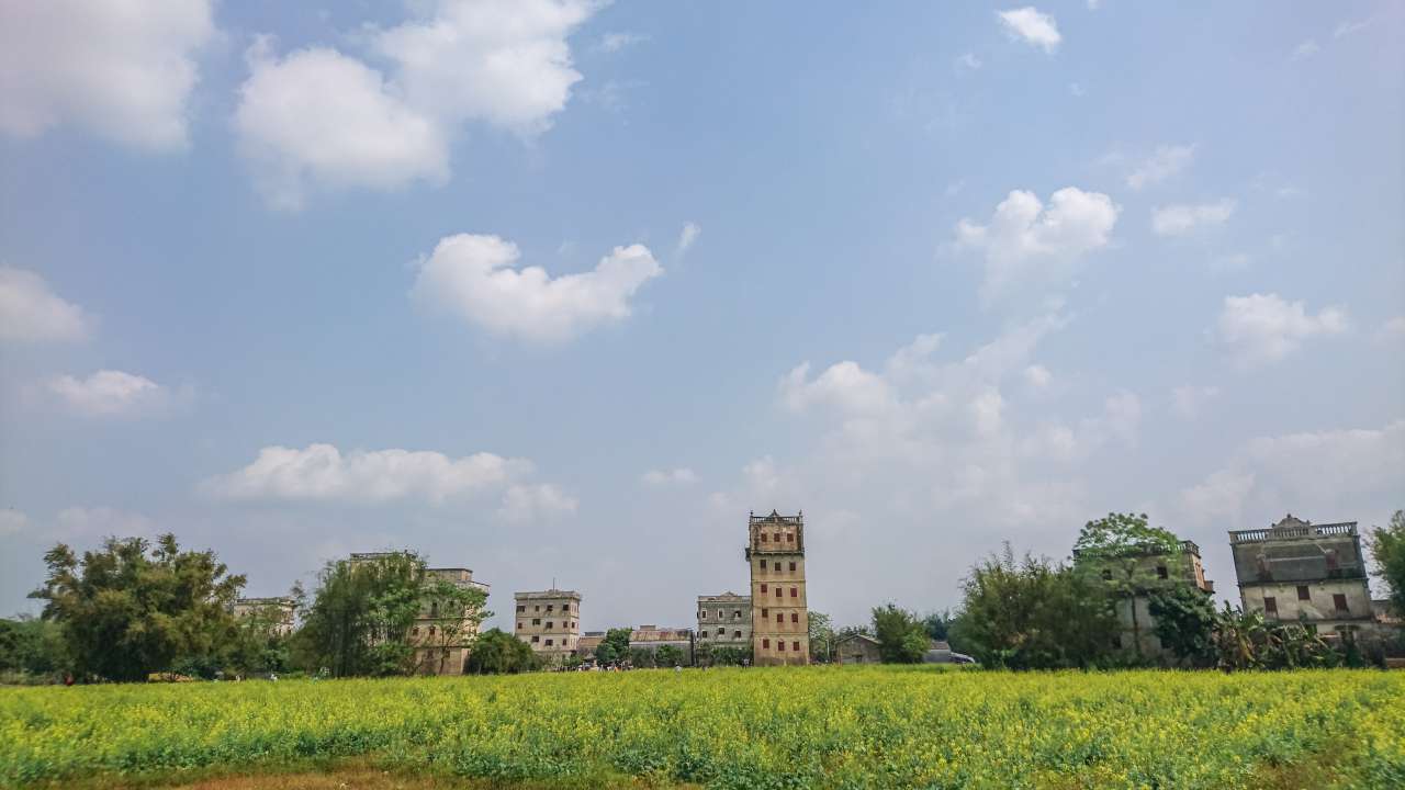 油菜花田下的自力村 旅游 自力村 开平 景点 碉楼 油菜田 油菜花