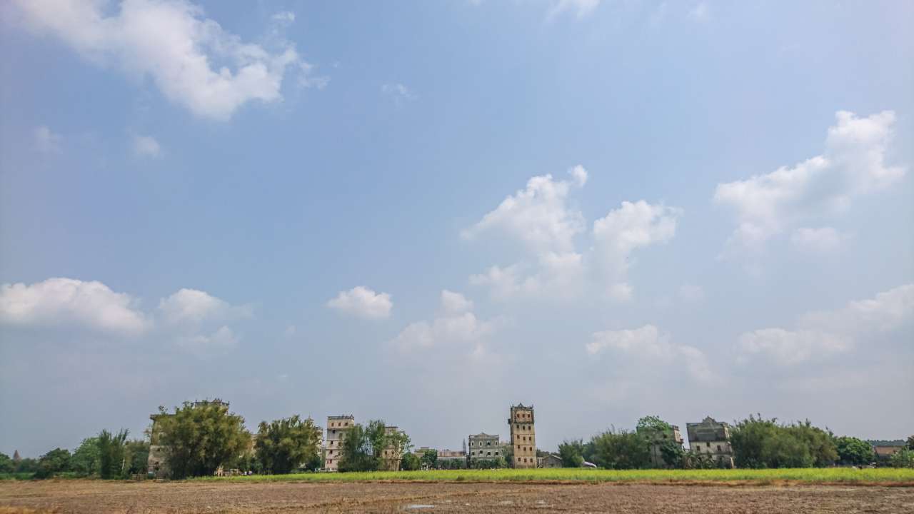 油菜花田下的自力村 旅游 自力村 开平 景点 碉楼 油菜田 油菜花