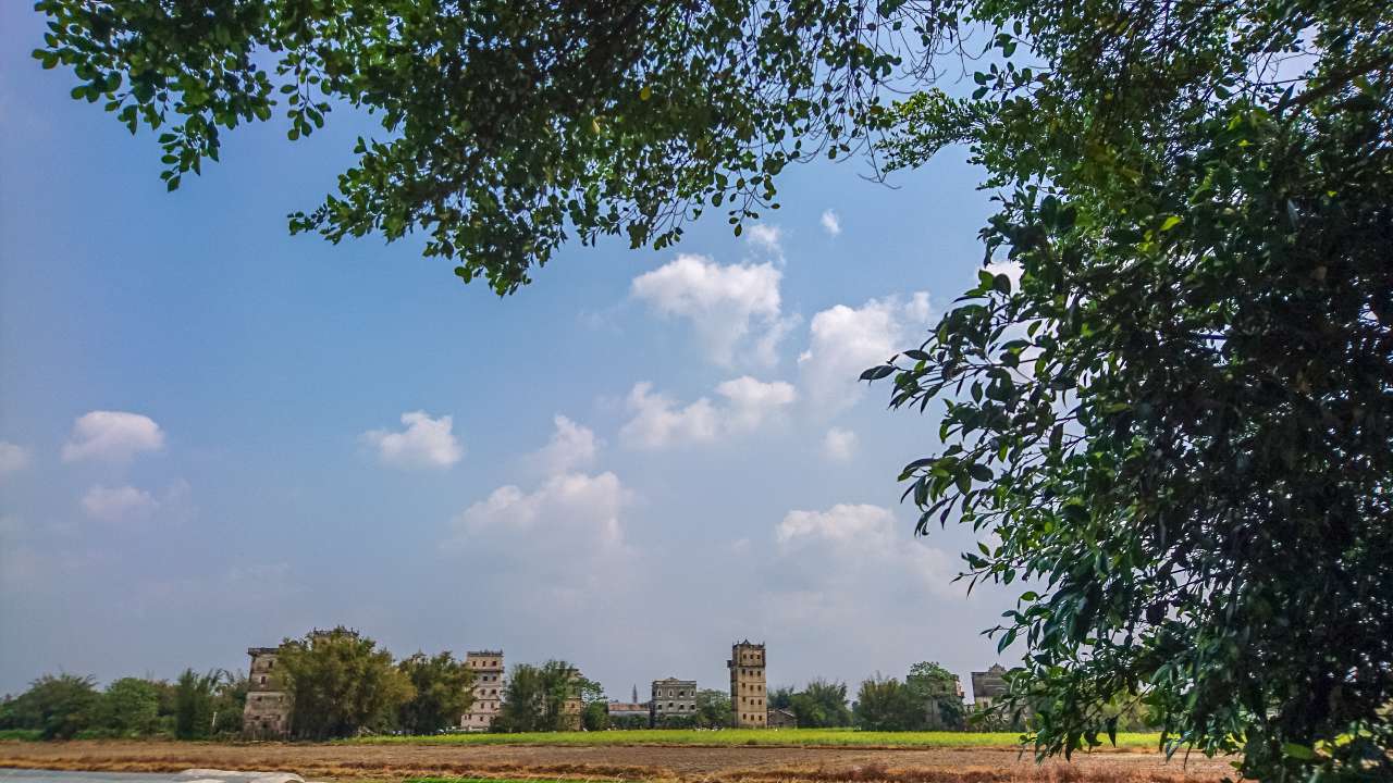 油菜花田下的自力村 旅游 自力村 开平 景点 碉楼 油菜田 油菜花