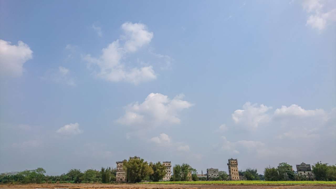 油菜花田下的自力村 旅游 自力村 开平 景点 碉楼 油菜田 油菜花