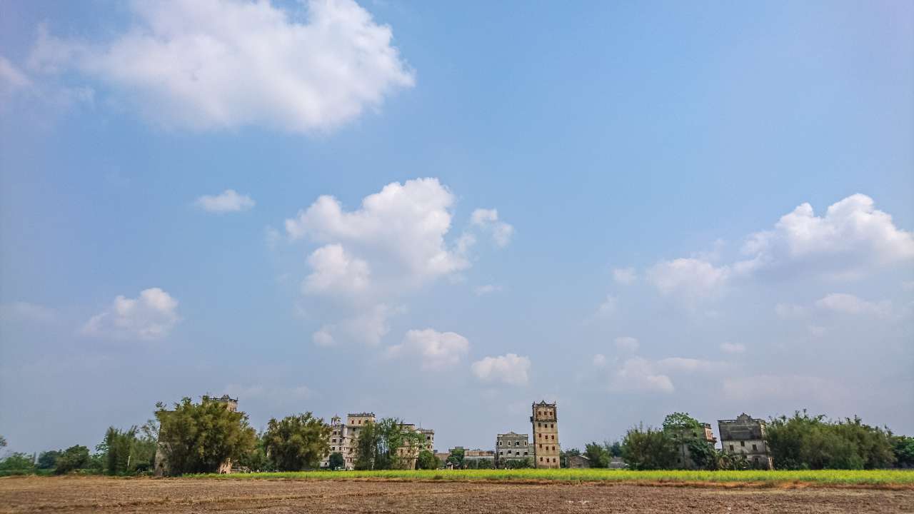油菜花田下的自力村 旅游 自力村 开平 景点 碉楼 油菜田 油菜花