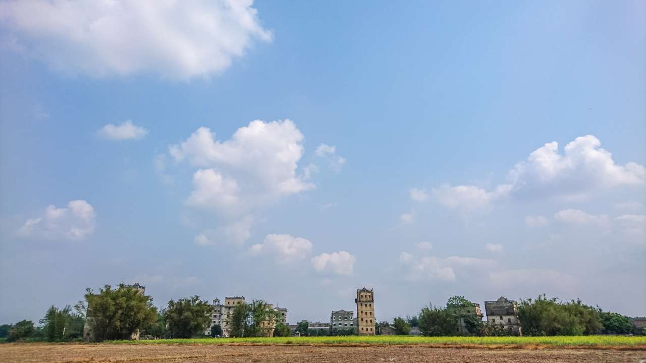 油菜花田下的自力村 旅游 自力村 开平 景点 碉楼 油菜田 油菜花