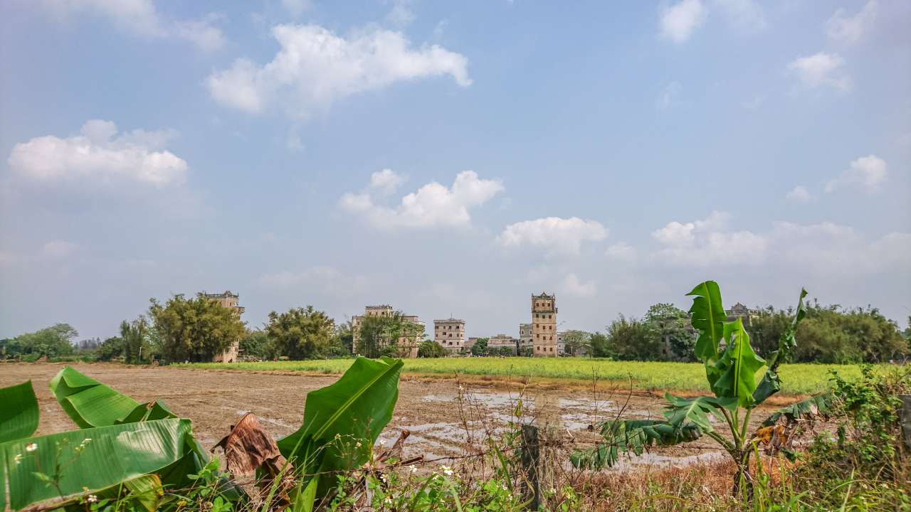 油菜花田下的自力村 旅游 自力村 开平 景点 碉楼 油菜田 油菜花