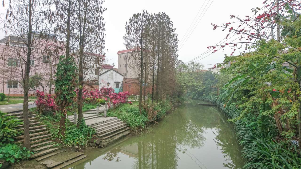 古色古香的逢简水乡和清辉园一天游 水乡 古乡 古镇 风景 旅游 顺德 逢简水乡 清辉园