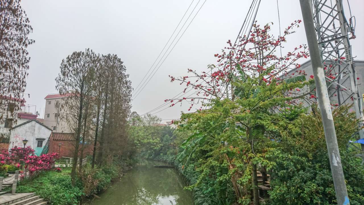 古色古香的逢简水乡和清辉园一天游 水乡 古乡 古镇 风景 旅游 顺德 逢简水乡 清辉园