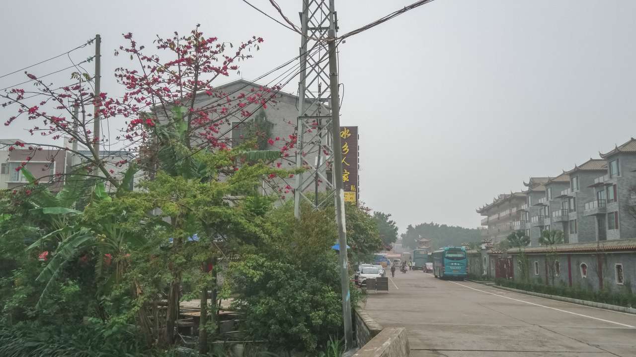 古色古香的逢简水乡和清辉园一天游 水乡 古乡 古镇 风景 旅游 顺德 逢简水乡 清辉园