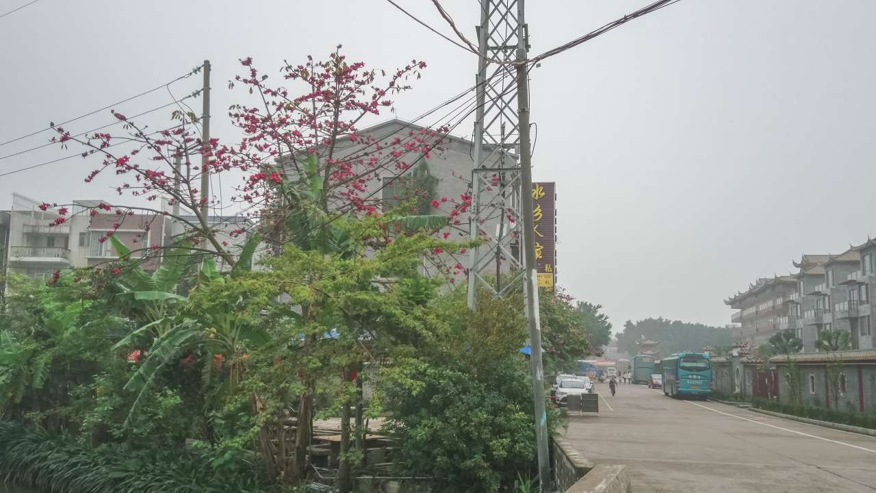 古色古香的逢简水乡和清辉园一天游 水乡 古乡 古镇 风景 旅游 顺德 逢简水乡 清辉园