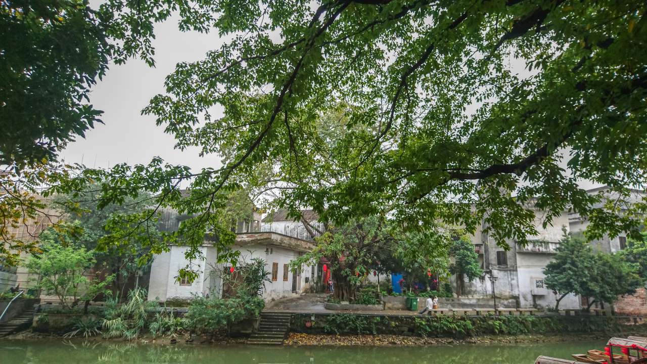 古色古香的逢简水乡和清辉园一天游 水乡 古乡 古镇 风景 旅游 顺德 逢简水乡 清辉园