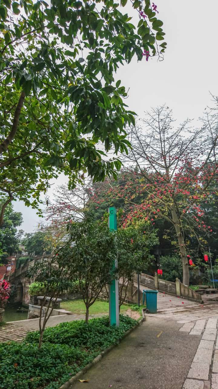 古色古香的逢简水乡和清辉园一天游 水乡 古乡 古镇 风景 旅游 顺德 逢简水乡 清辉园