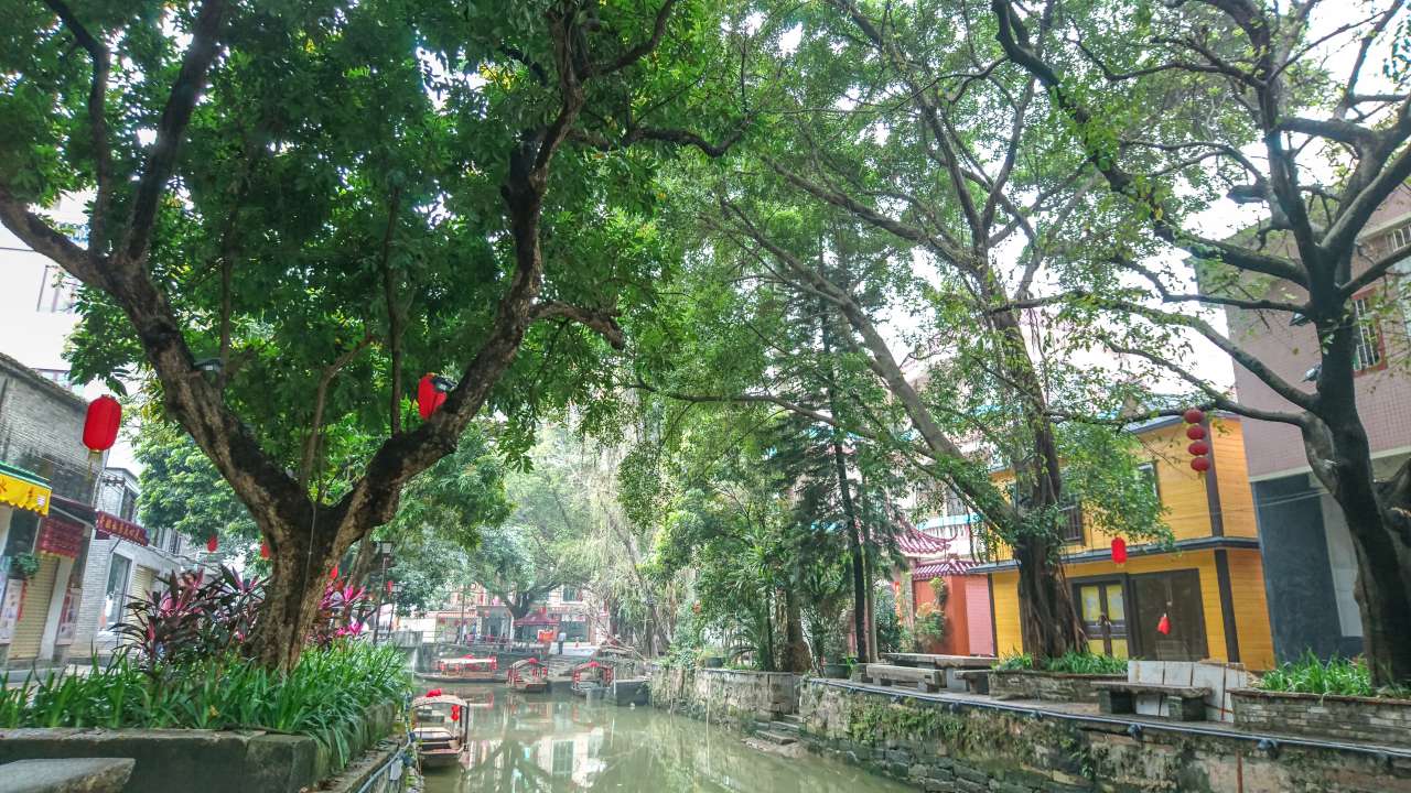 古色古香的逢简水乡和清辉园一天游 水乡 古乡 古镇 风景 旅游 顺德 逢简水乡 清辉园