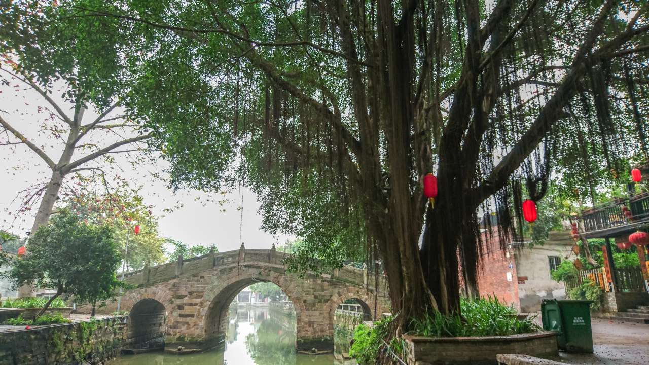 古色古香的逢简水乡和清辉园一天游 水乡 古乡 古镇 风景 旅游 顺德 逢简水乡 清辉园