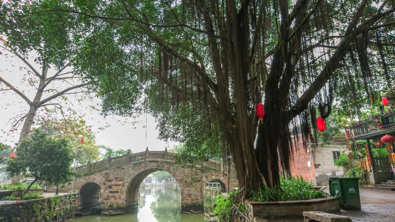 古色古香的逢简水乡和清辉园一天游 水乡 古乡 古镇 风景 旅游 顺德 逢简水乡 清辉园