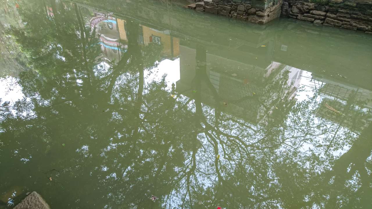 古色古香的逢简水乡和清辉园一天游 水乡 古乡 古镇 风景 旅游 顺德 逢简水乡 清辉园