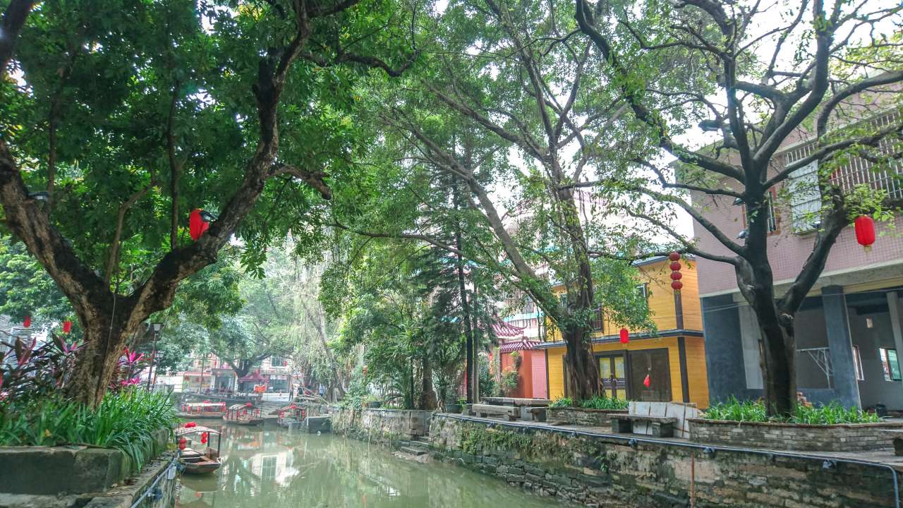 古色古香的逢简水乡和清辉园一天游 水乡 古乡 古镇 风景 旅游 顺德 逢简水乡 清辉园