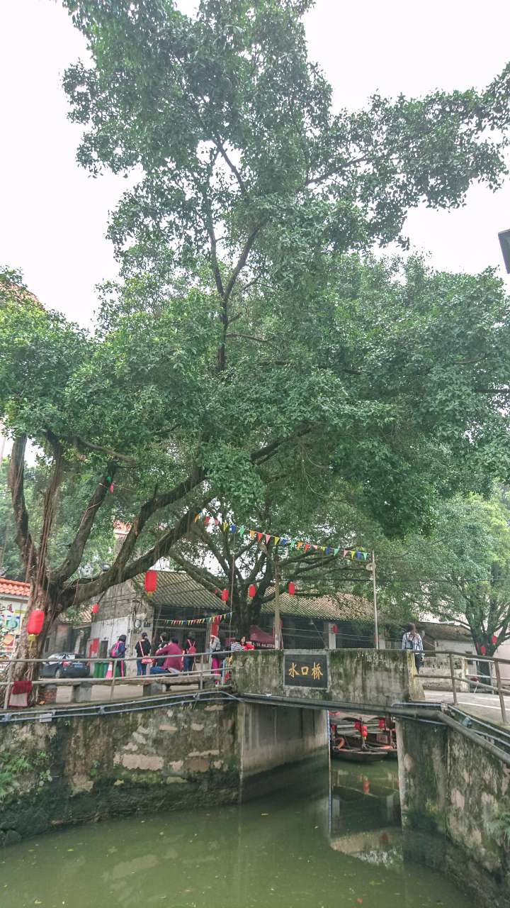古色古香的逢简水乡和清辉园一天游 水乡 古乡 古镇 风景 旅游 顺德 逢简水乡 清辉园