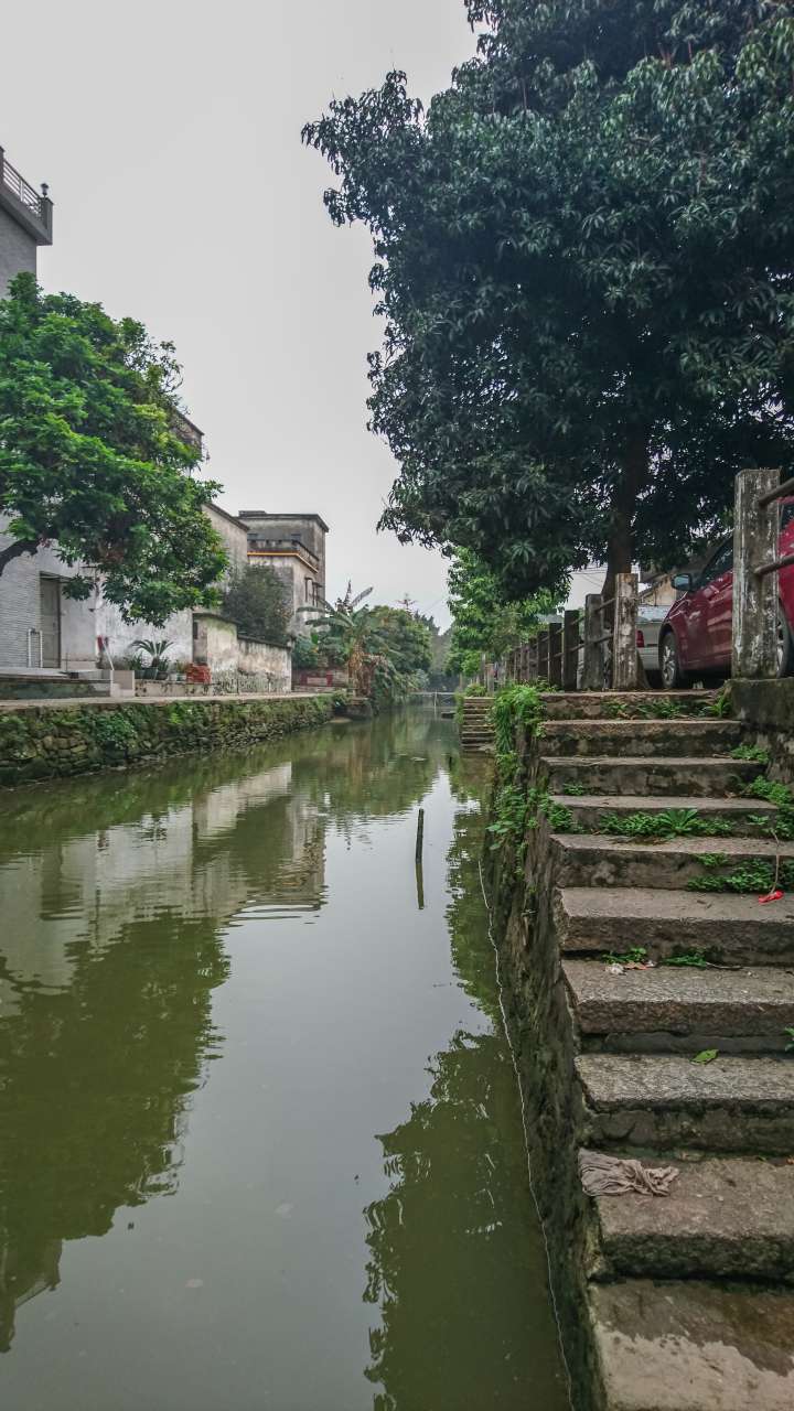 古色古香的逢简水乡和清辉园一天游 水乡 古乡 古镇 风景 旅游 顺德 逢简水乡 清辉园