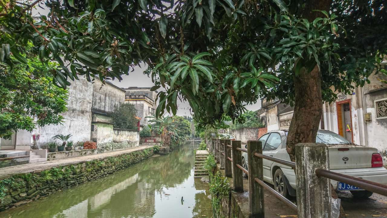 古色古香的逢简水乡和清辉园一天游 水乡 古乡 古镇 风景 旅游 顺德 逢简水乡 清辉园