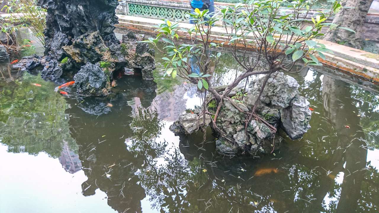古色古香的逢简水乡和清辉园一天游 水乡 古乡 古镇 风景 旅游 顺德 逢简水乡 清辉园