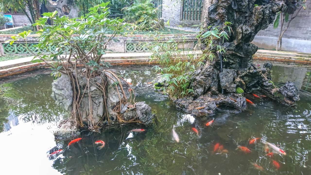 古色古香的逢简水乡和清辉园一天游 水乡 古乡 古镇 风景 旅游 顺德 逢简水乡 清辉园
