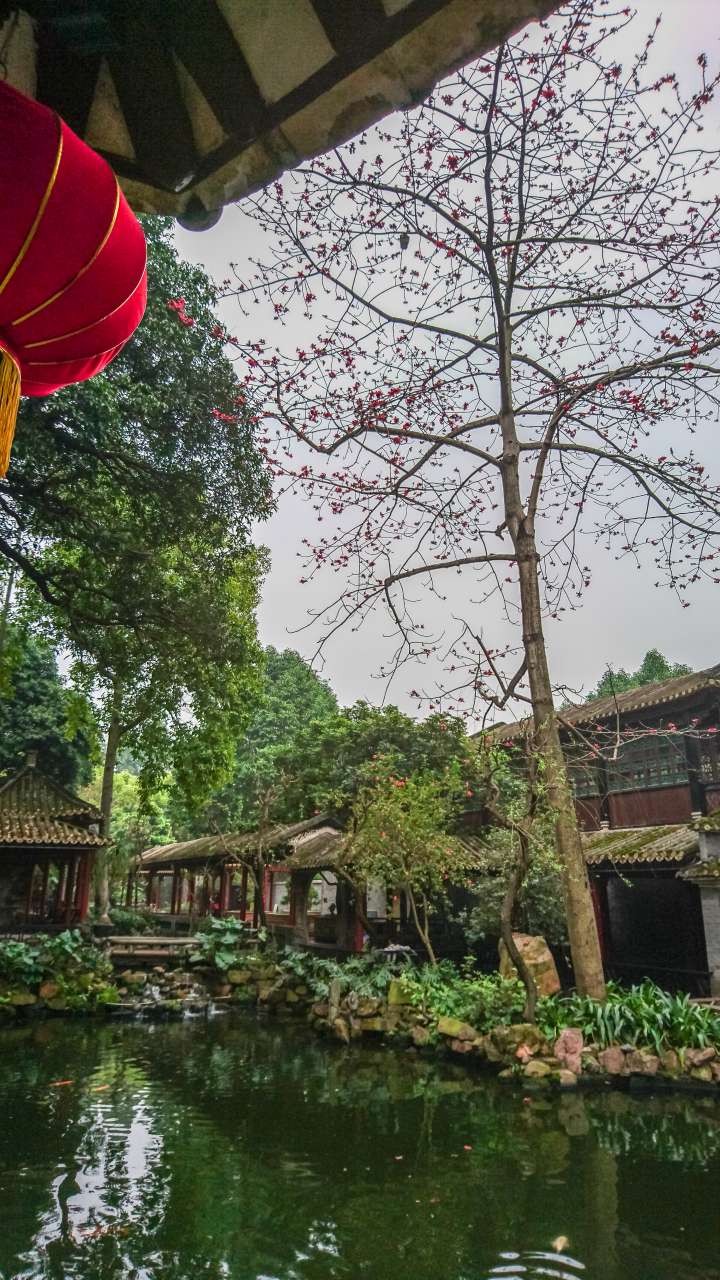 古色古香的逢简水乡和清辉园一天游 水乡 古乡 古镇 风景 旅游 顺德 逢简水乡 清辉园