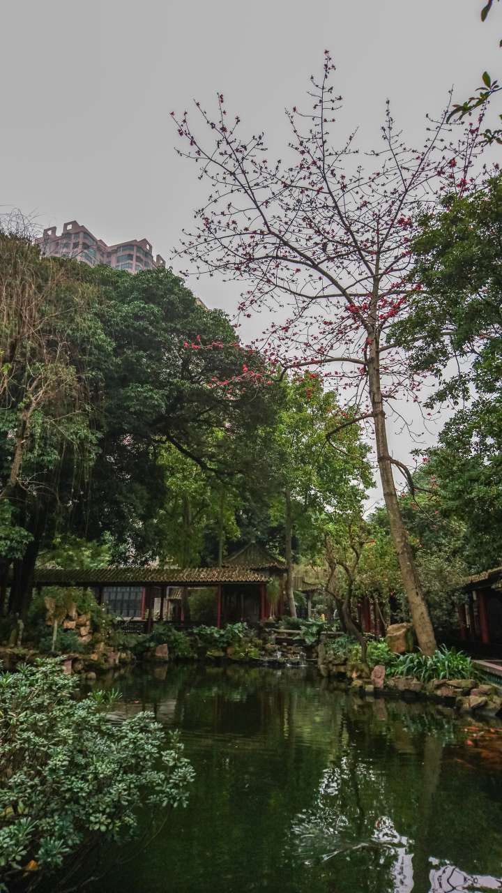 古色古香的逢简水乡和清辉园一天游 水乡 古乡 古镇 风景 旅游 顺德 逢简水乡 清辉园