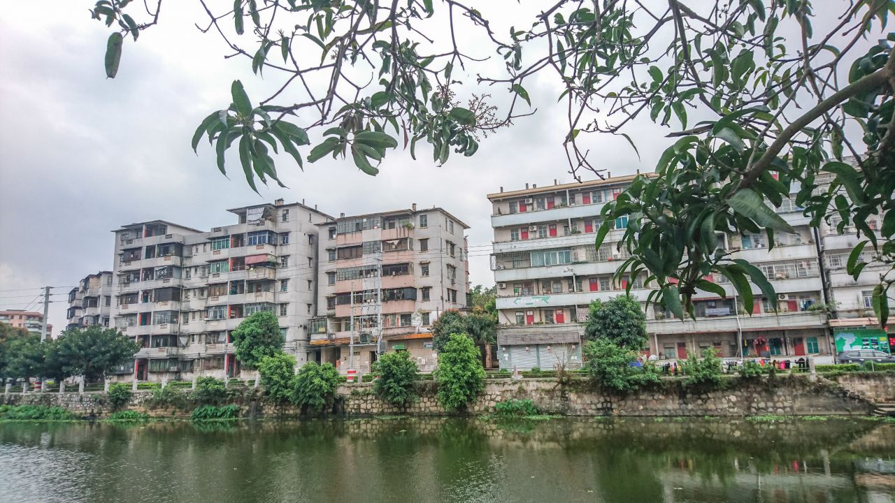 风和日丽的赤坎古镇 赤坎镇 古镇 碉楼 风景 城市 摄影 开平 楼顶 赤坎 骑楼 街拍