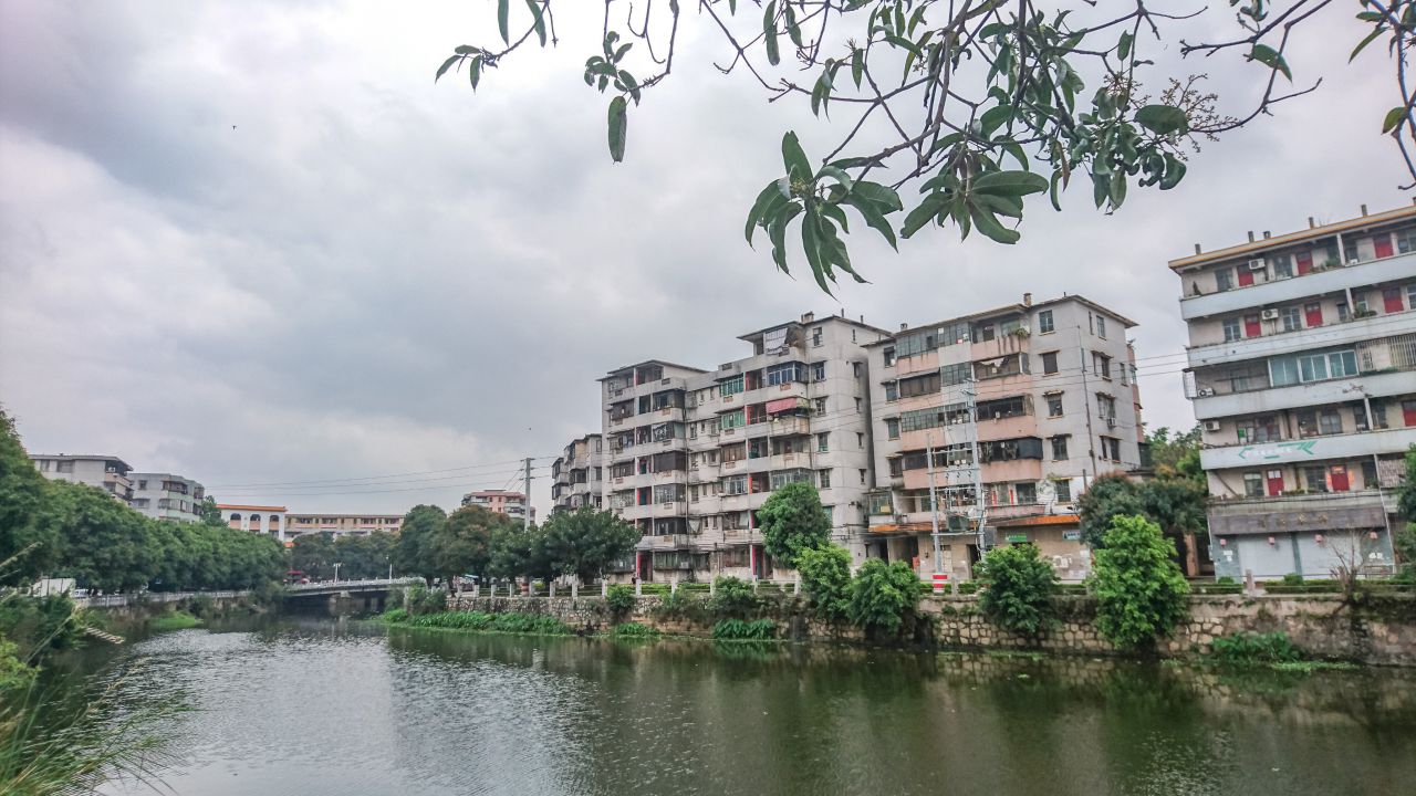 风和日丽的赤坎古镇 赤坎镇 古镇 碉楼 风景 城市 摄影 开平 楼顶 赤坎 骑楼 街拍