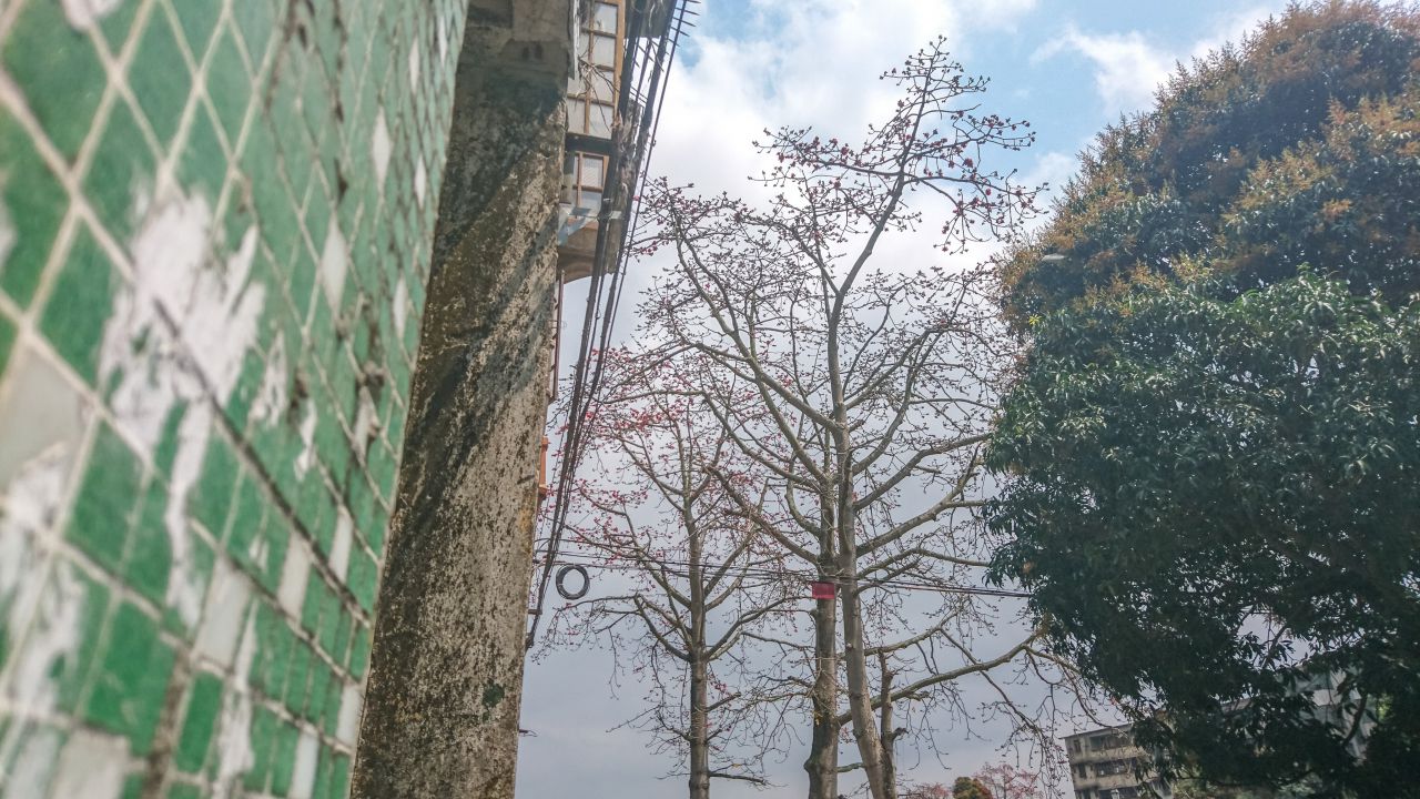 风和日丽的赤坎古镇 赤坎镇 古镇 碉楼 风景 城市 摄影 开平 楼顶 赤坎 骑楼 街拍