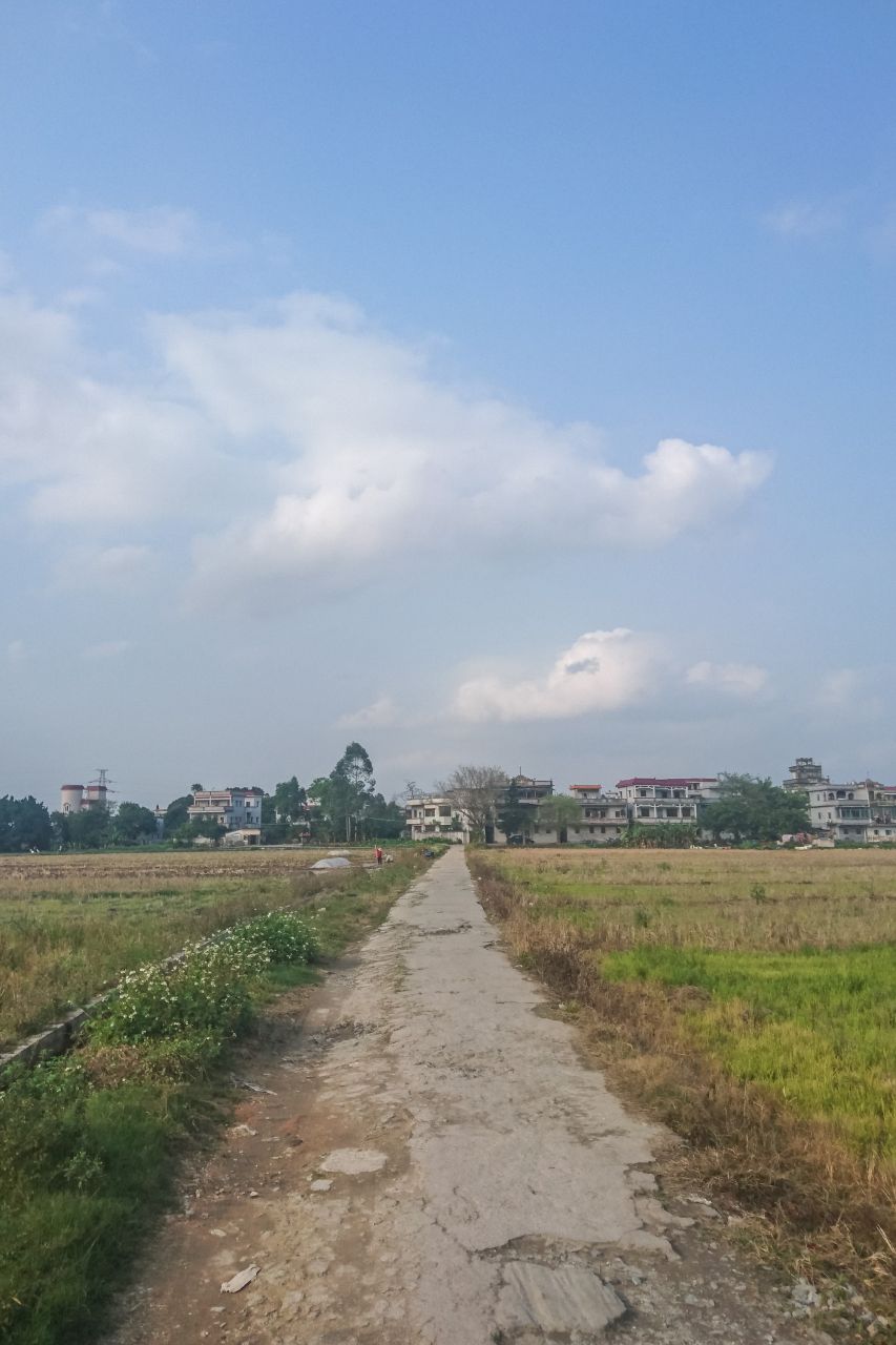 风和日丽的赤坎古镇 赤坎镇 古镇 碉楼 风景 城市 摄影 开平 楼顶 赤坎 骑楼 街拍