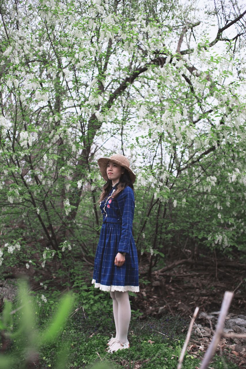 森林一样清新的女孩 深林系人像 深林系少女 森林系女孩 薯仔仪 深林系 人像 摄影