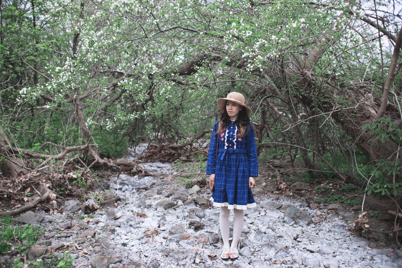 森林一样清新的女孩 深林系人像 深林系少女 森林系女孩 薯仔仪 深林系 人像 摄影