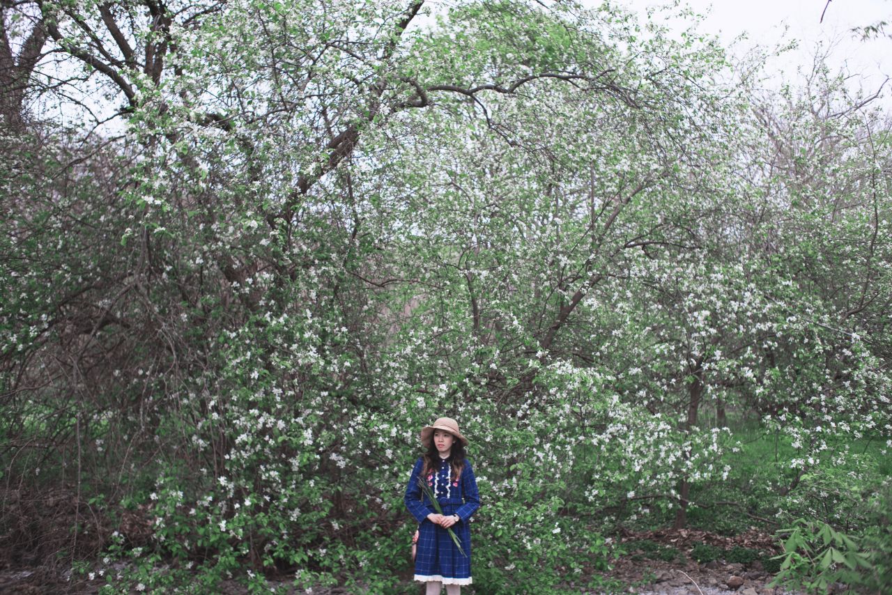 森林一样清新的女孩 深林系人像 深林系少女 森林系女孩 薯仔仪 深林系 人像 摄影