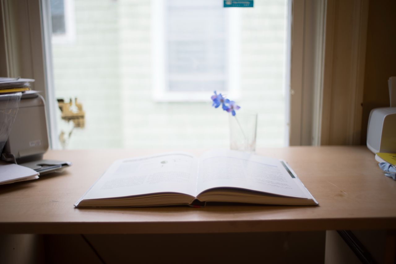 Vivitar 35mm F1.9 M42 胶片镜头，试镜篇2  花花 胶片镜头 植物 胶片 大光圈