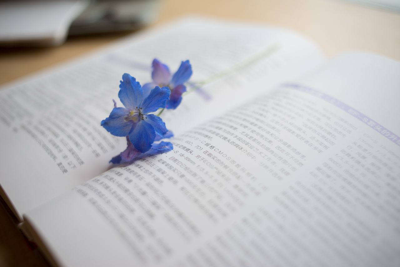 Vivitar 35mm F1.9 M42 胶片镜头，试镜篇2  - 屋企 - 无 - 花花 胶片镜头 植物 胶片 大光圈