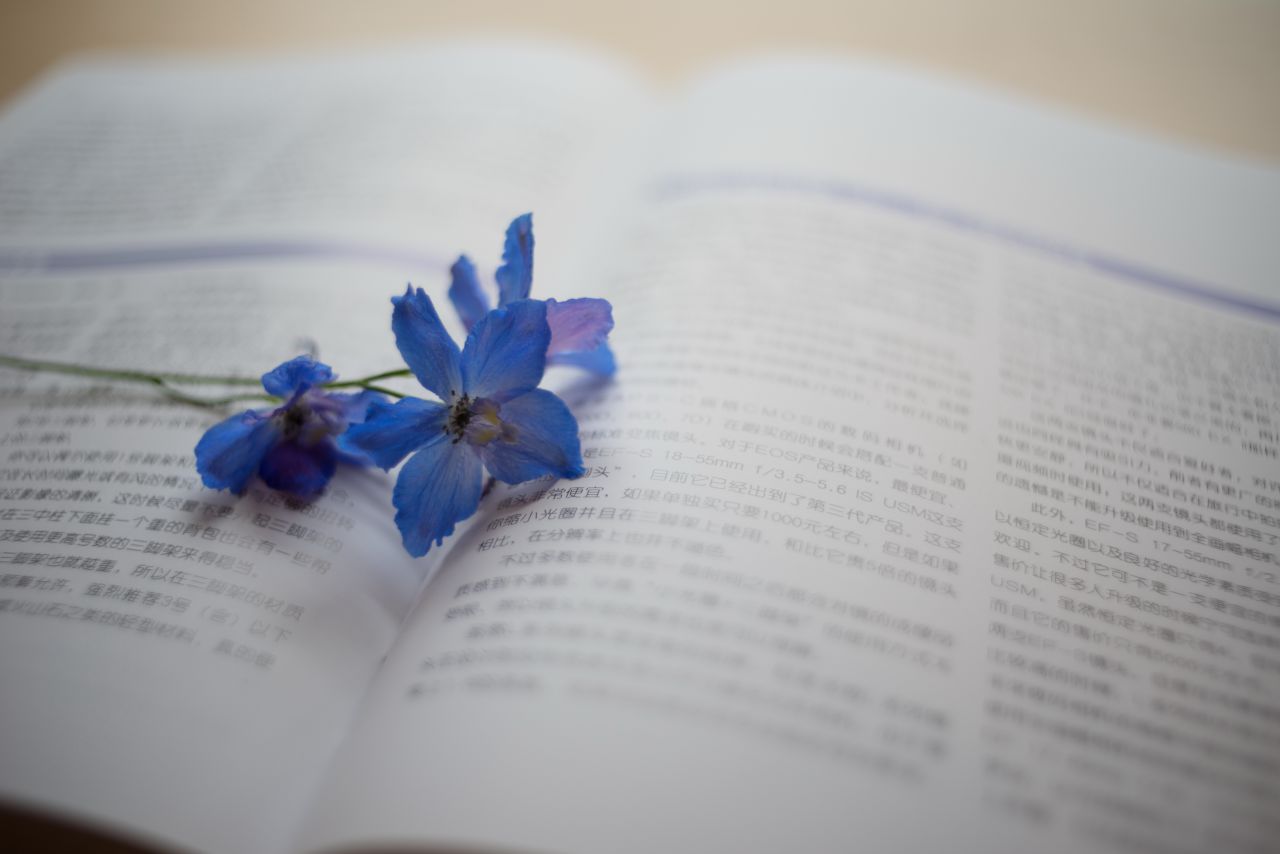 Vivitar 35mm F1.9 M42 胶片镜头，试镜篇2  花花 胶片镜头 植物 胶片 大光圈