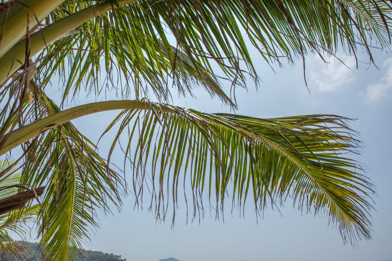 台山上下川游玩记 旅游 台山 上川 下川 上下川