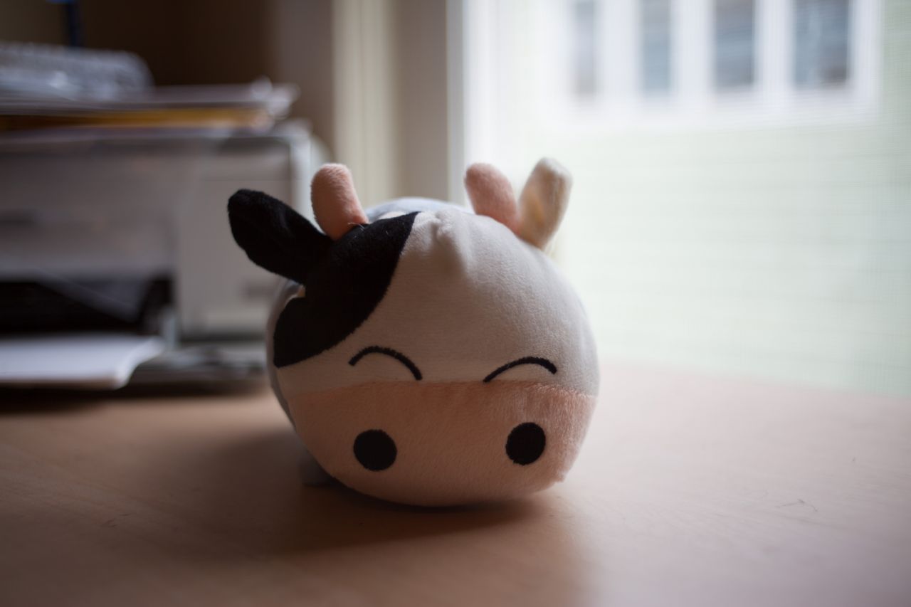 Vivitar 35mm F1.9 M42 胶片镜头，试镜篇1 家居，小清新 ，日系，Vivitar 35mm F1.9