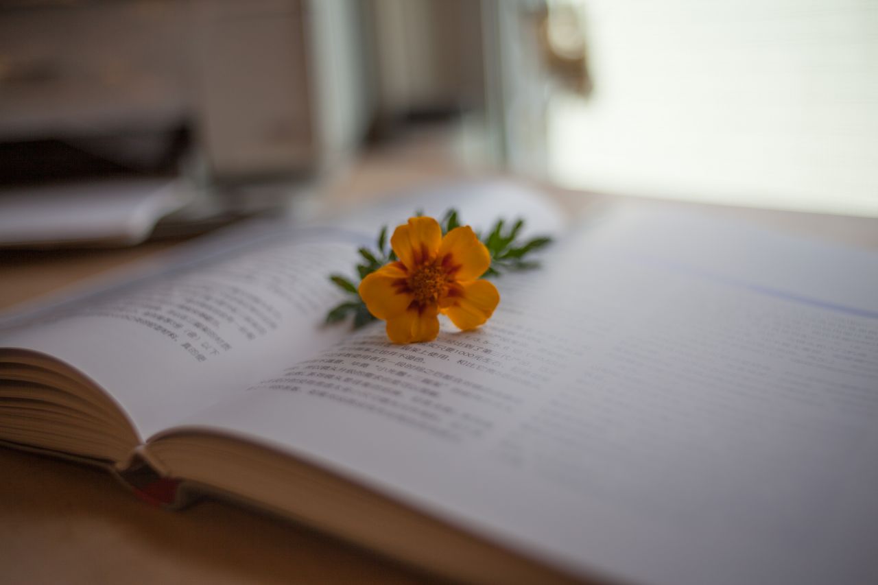 Vivitar 35mm F1.9 M42 胶片镜头，试镜篇1 家居，小清新 ，日系，Vivitar 35mm F1.9