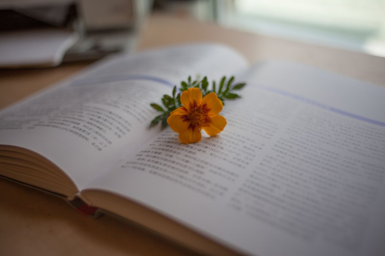 Vivitar 35mm F1.9 M42 胶片镜头，试镜篇1 家居，小清新 ，日系，Vivitar 35mm F1.9