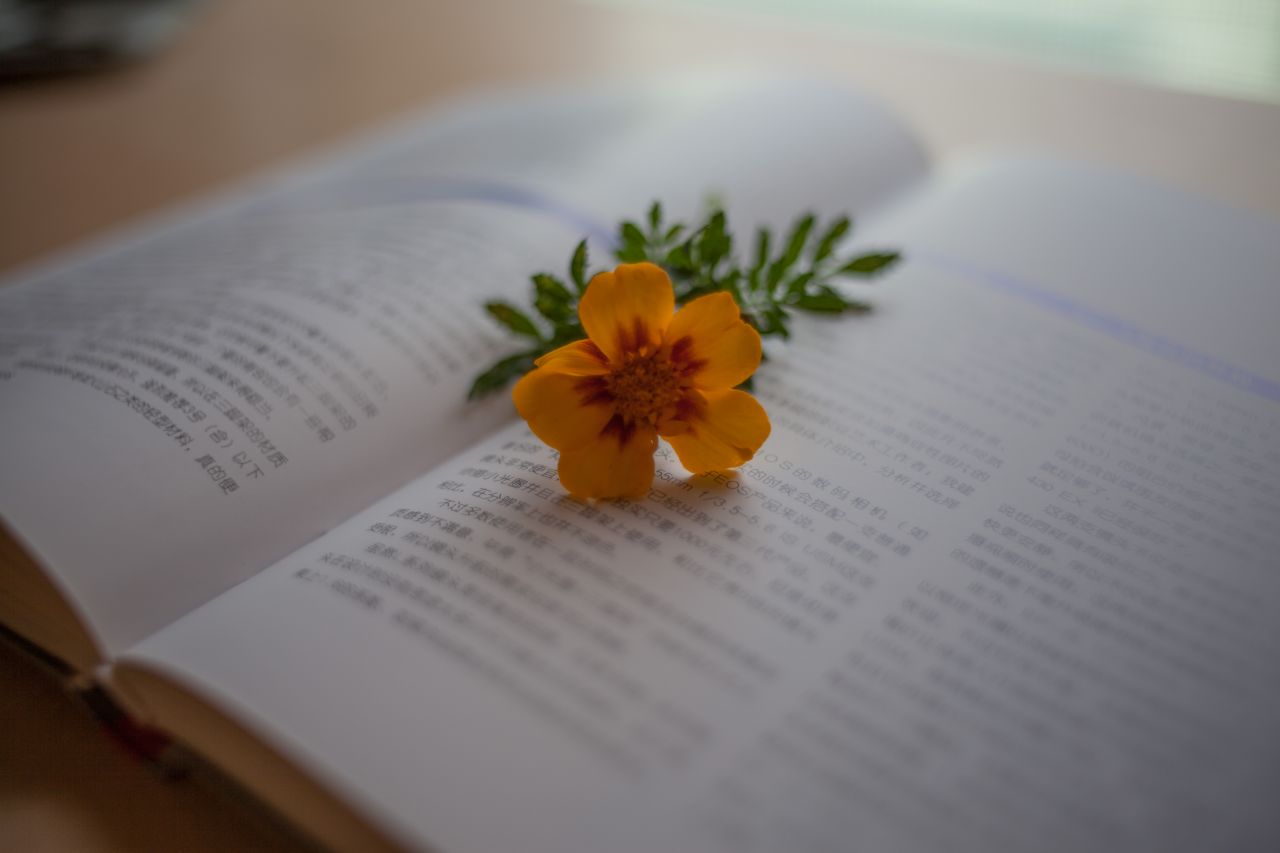 Vivitar 35mm F1.9 M42 胶片镜头，试镜篇1 家居，小清新 ，日系，Vivitar 35mm F1.9