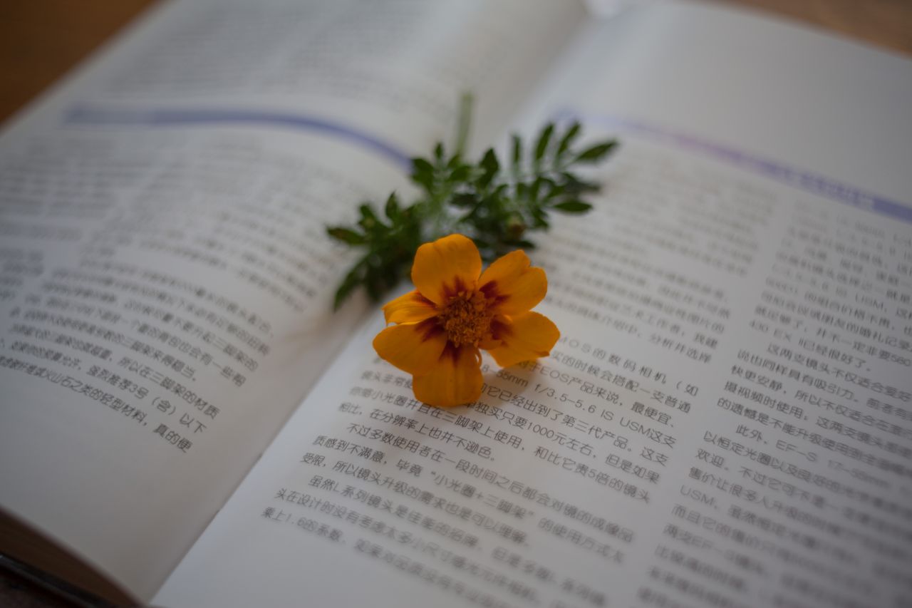 Vivitar 35mm F1.9 M42 胶片镜头，试镜篇1 家居，小清新 ，日系，Vivitar 35mm F1.9