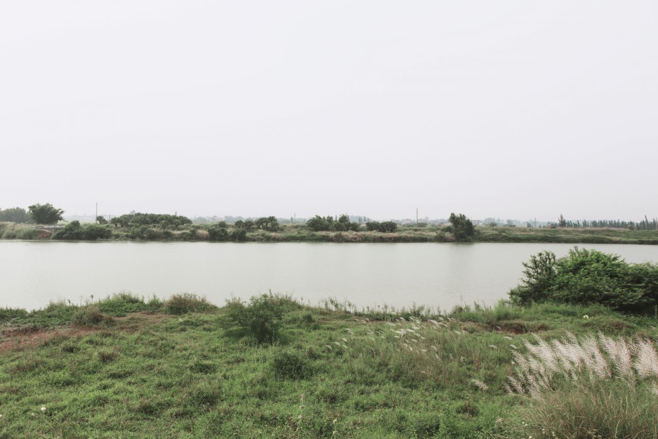 在乡村中走走更健康 交流度 田野