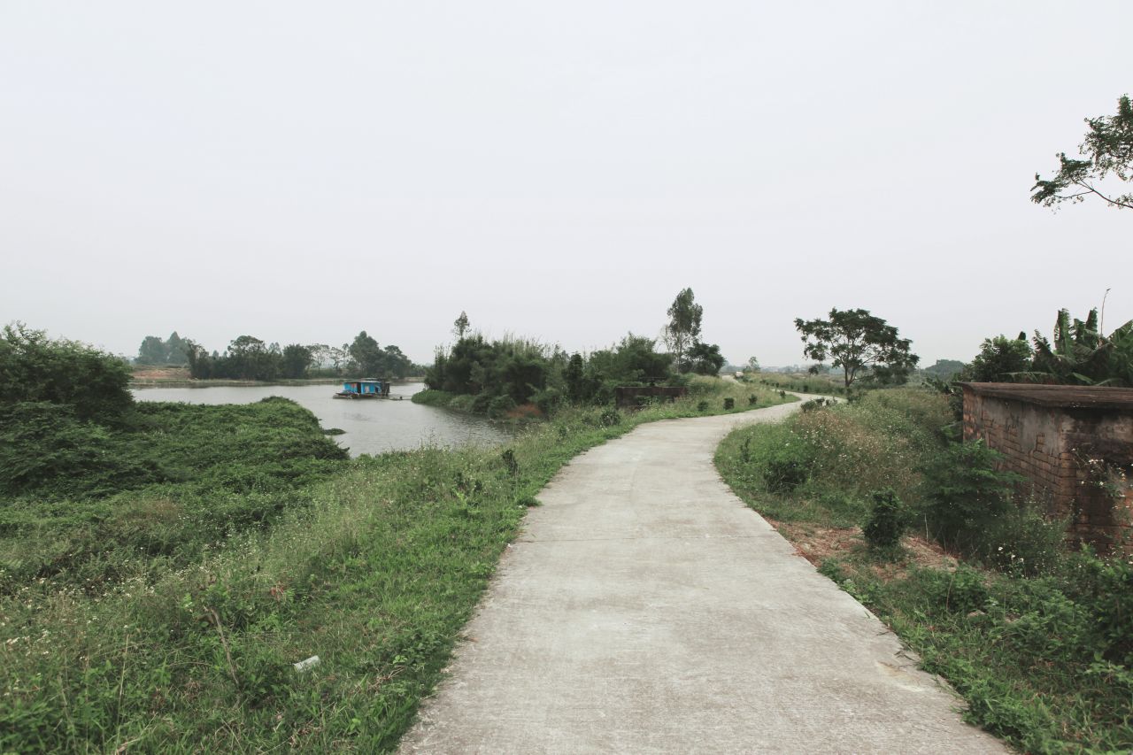 在乡村中走走更健康 交流度 田野