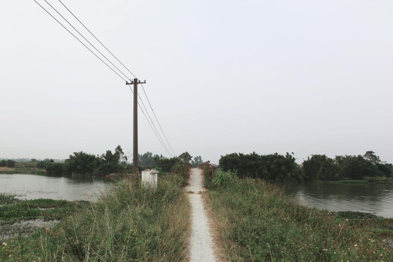 在乡村中走走更健康 交流度 田野