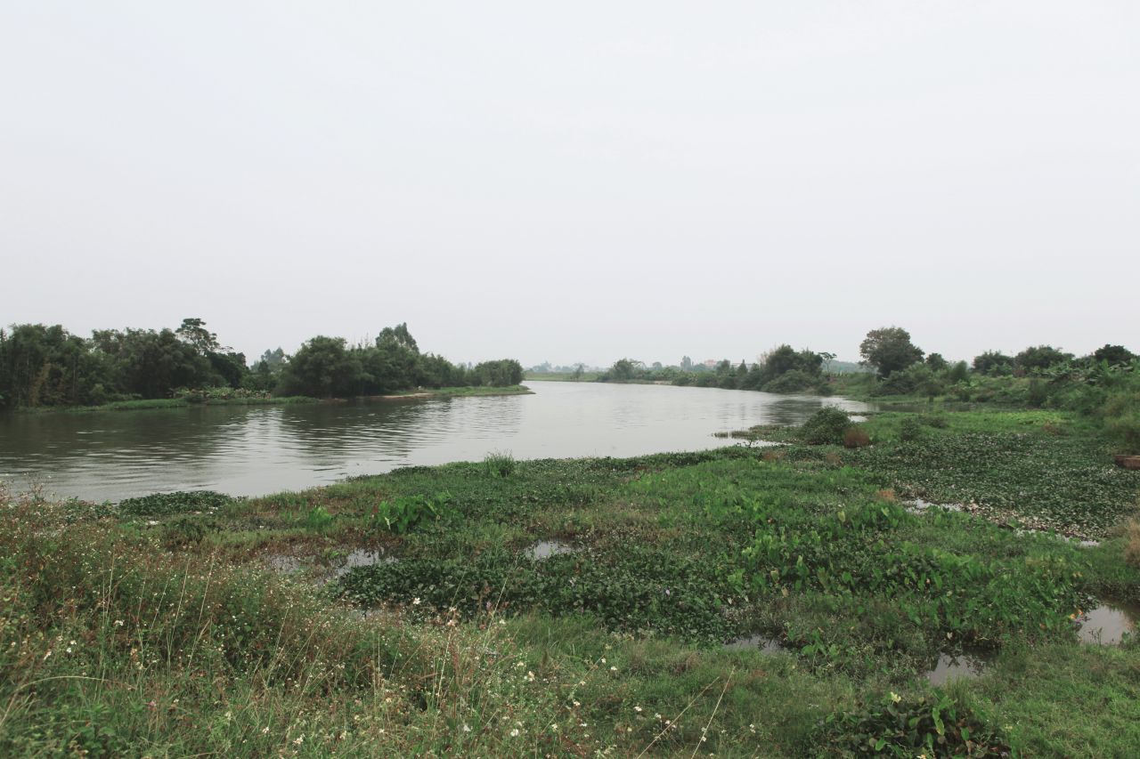 在乡村中走走更健康 交流度 田野